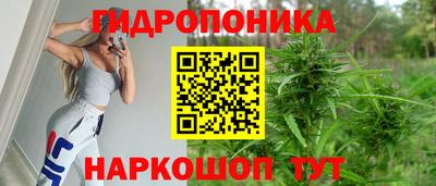 индика Азнакаево
