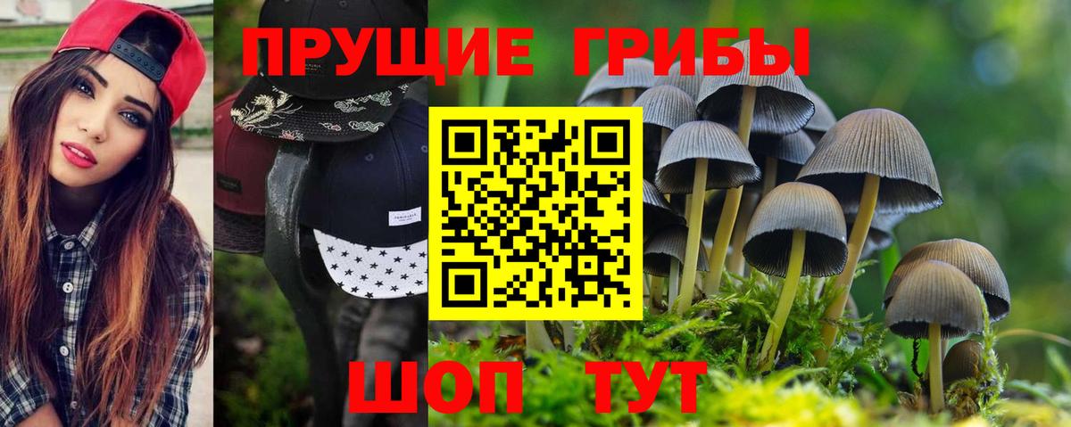 Галлюциногенные грибы мухоморы Апатиты